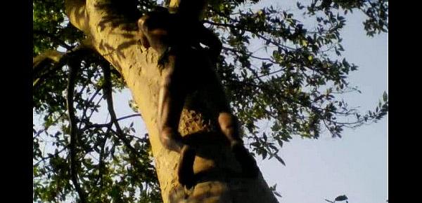  Tarzan Boy Sex In Jungle Wood